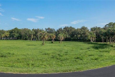 Terrain à vendre à LaBelle, Floride № 1939892 - photo 7