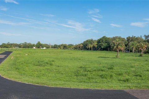 Terrain à vendre à LaBelle, Floride № 1939892 - photo 6
