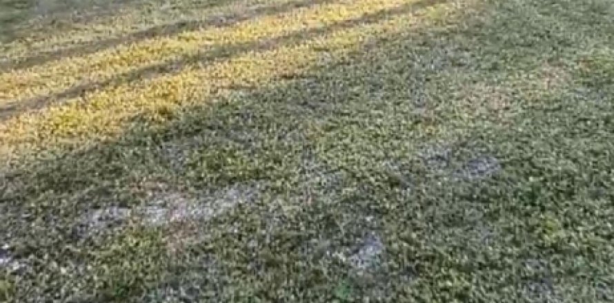 Land in Loxahatchee Groves, Florida № 952160