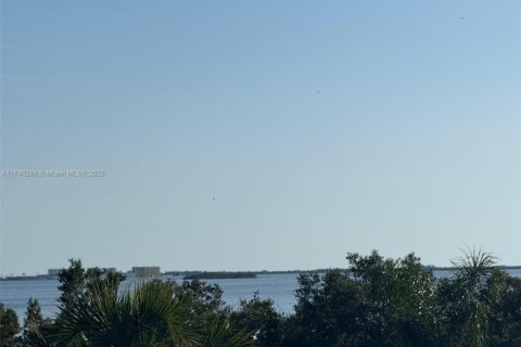 House in Palm Harbor, Florida 5 bedrooms, 276.38 sq.m. № 1728125 - photo 17
