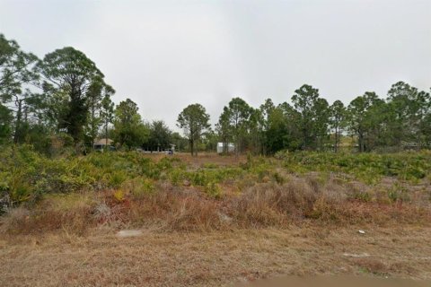 Land in Punta Gorda, Florida № 2159423