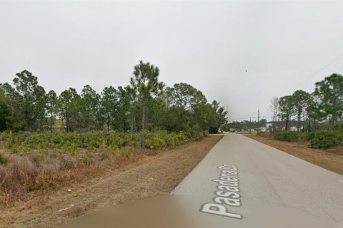 Land in Punta Gorda, Florida № 2159423 - photo 2