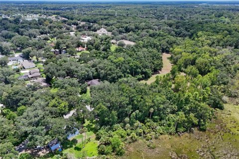 Land in Jacksonville, Florida № 1894482 - photo 20