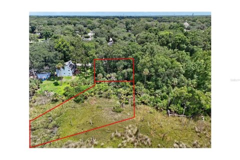 Land in Jacksonville, Florida № 1894482 - photo 4