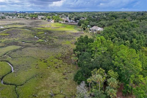 Land in Jacksonville, Florida № 1894482 - photo 26