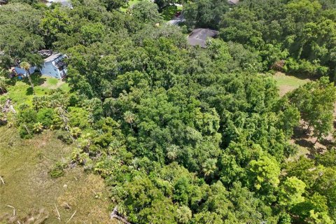 Land in Jacksonville, Florida № 1894482 - photo 11
