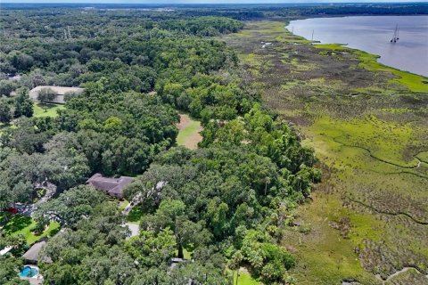 Land in Jacksonville, Florida № 1894482 - photo 19