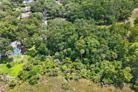 Land in Jacksonville, Florida № 1894482 - photo 10