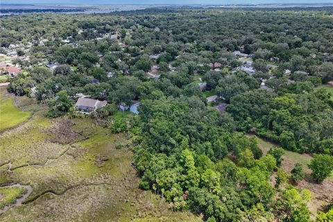 Land in Jacksonville, Florida № 1894482 - photo 23