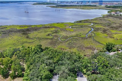 Land in Jacksonville, Florida № 1894482 - photo 15