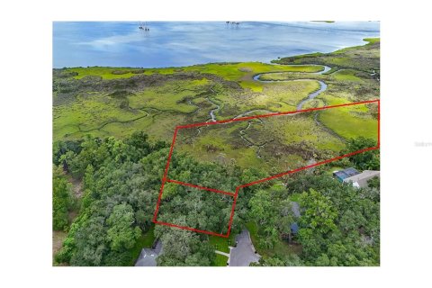 Land in Jacksonville, Florida № 1894482 - photo 3