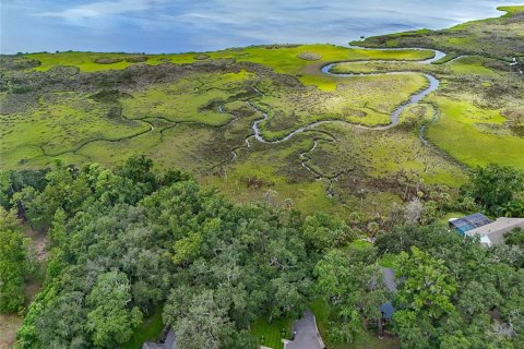 Land in Jacksonville, Florida № 1894482 - photo 27