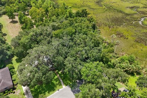 Land in Jacksonville, Florida № 1894482 - photo 6