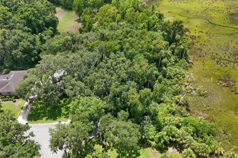 Land in Jacksonville, Florida № 1894482 - photo 7
