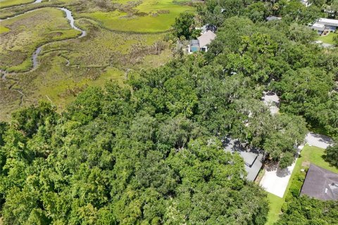 Land in Jacksonville, Florida № 1894482 - photo 13