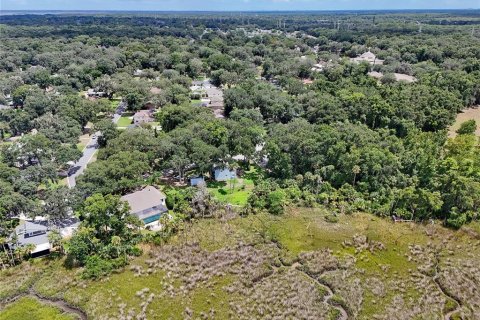 Land in Jacksonville, Florida № 1894482 - photo 30