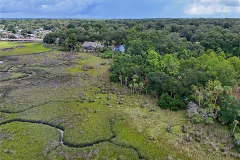 Land in Jacksonville, Florida № 1894482 - photo 25