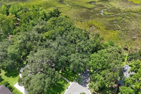 Land in Jacksonville, Florida № 1894482 - photo 5