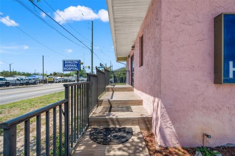 Commercial property in Tampa, Florida 249.72 sq.m. № 2230980 - photo 3