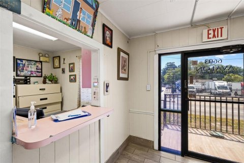 Commercial property in Tampa, Florida 249.72 sq.m. № 2230980 - photo 6