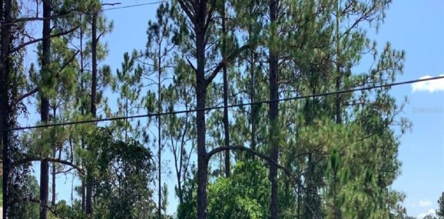 Terreno en Orlando, Florida № 361259