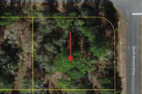 Land in Dunnellon, Florida № 2233036