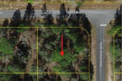 Land in Dunnellon, Florida № 2233036 - photo 2