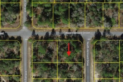 Land in Dunnellon, Florida № 2233036 - photo 4