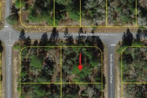 Land in Dunnellon, Florida № 2233036 - photo 3