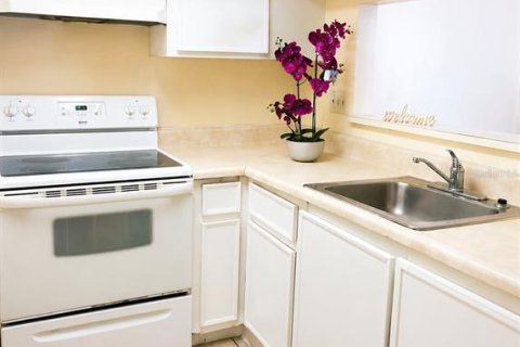 Condominio en alquiler en Tampa, Florida, 1 dormitorio, 46.82 m2 № 2142034 - foto 5