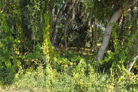 Land in Port Charlotte, Florida № 2165280 - photo 4