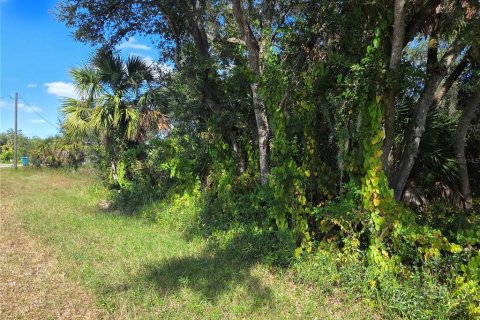 Land in Port Charlotte, Florida № 2165280 - photo 2