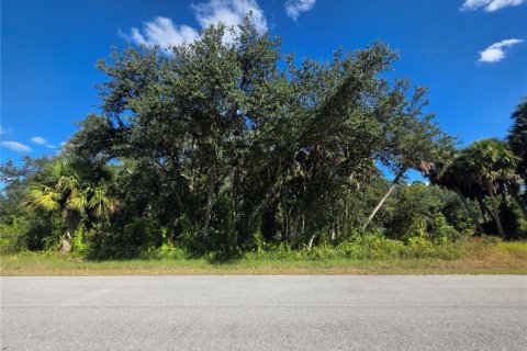 Land in Port Charlotte, Florida № 2165280