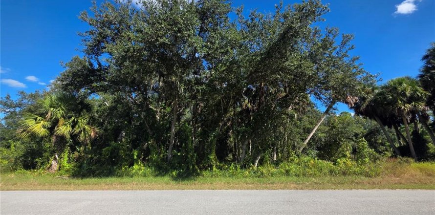 Land in Port Charlotte, Florida № 2165280