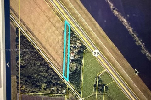 Immobilier commercial à vendre à Palm Beach, Floride № 2018207 - photo 5