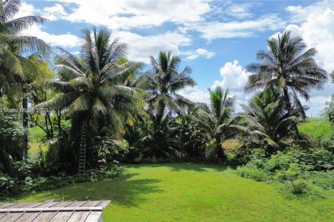 Immobilier commercial à vendre à Palm Beach, Floride № 2018207 - photo 3