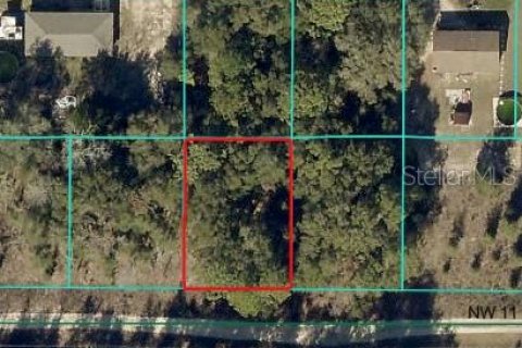 Land in Ocala, Florida № 2213403