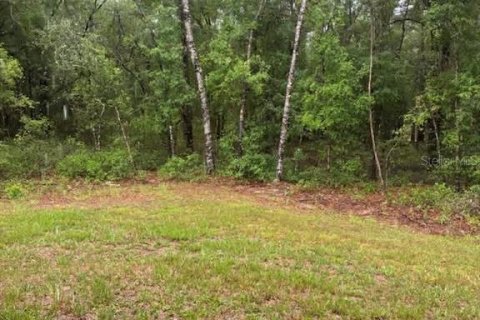 Casa en venta en Dunnellon, Florida, 4 dormitorios, 137.31 m2 № 2122498 - foto 8
