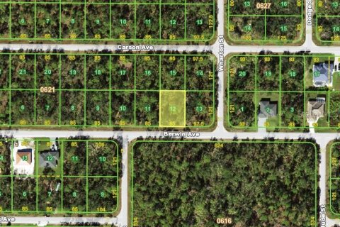 Land in Port Charlotte, Florida № 2159209