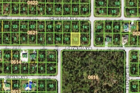 Land in Port Charlotte, Florida № 2159209 - photo 2