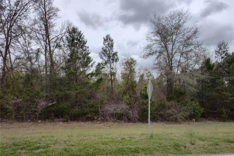 Land in Lee, Florida № 1823072 - photo 9