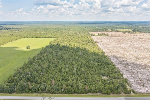 Land in Lee, Florida № 1823072 - photo 2