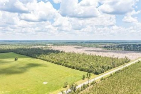Land in Lee, Florida № 1823072 - photo 3