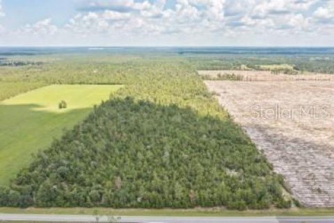 Land in Lee, Florida № 1823072 - photo 4