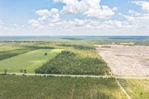 Land in Lee, Florida № 1823072 - photo 5
