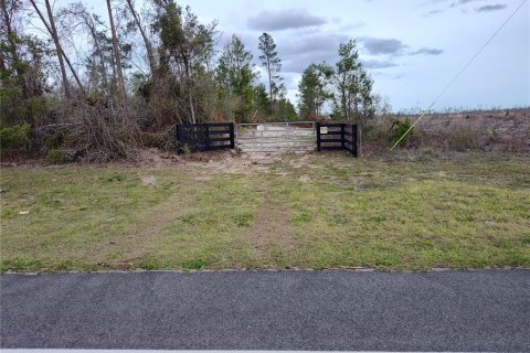 Land in Lee, Florida № 1823072 - photo 1