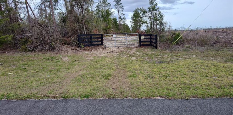 Land in Lee, Florida № 1823072