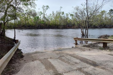 Land in Lee, Florida № 1823072 - photo 11