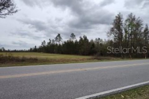Land in Lee, Florida № 1823072 - photo 7