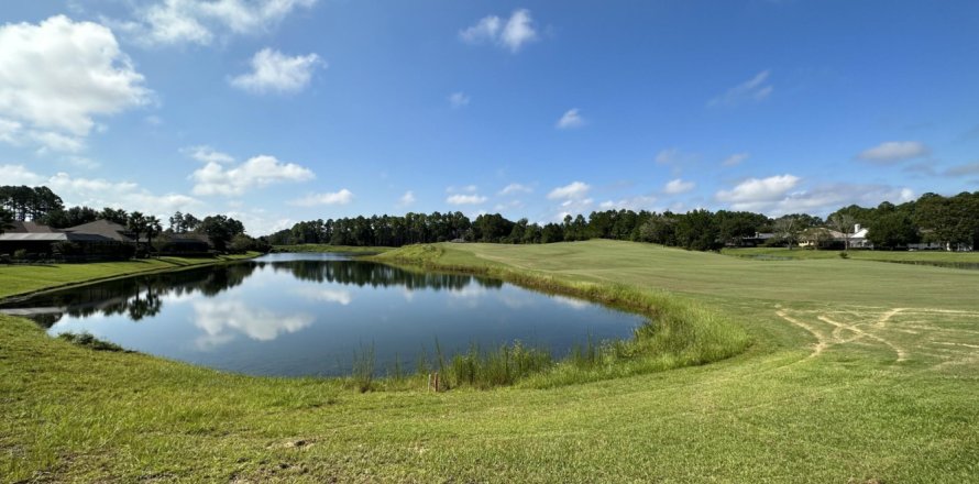 Land in Fernandina Beach, Florida № 772549